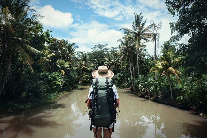 Solo wildlife travel experiences