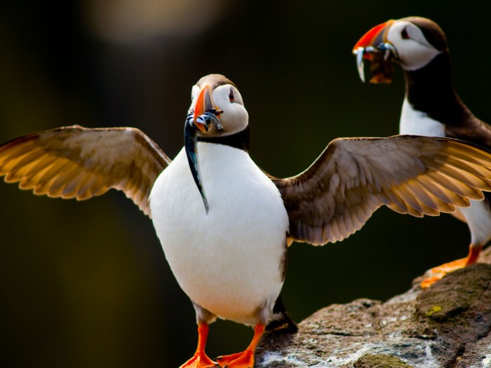 Experiences guided diverse tours offer animal wildlife